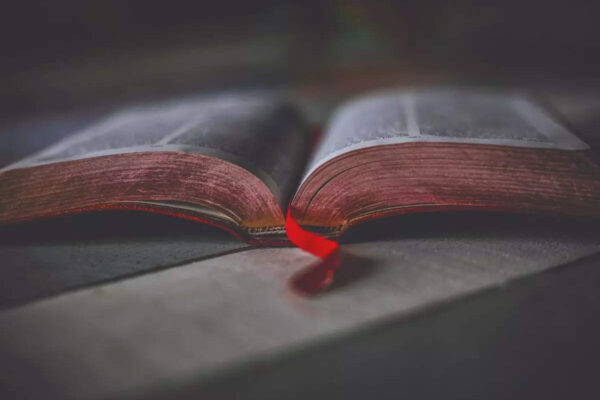 Msid 125842295imgsize 31518.cms .jpeg