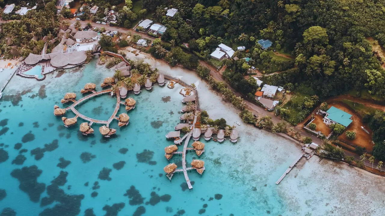 Msid 125872088imgsize 177708.cms .jpeg