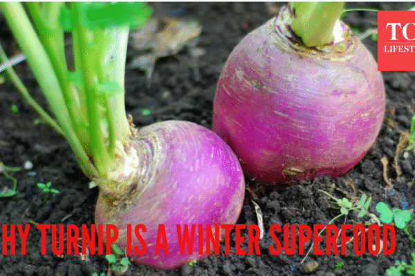 Msid 126037446imgsize 1156139.cms .png