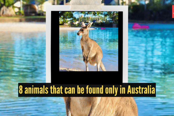 Msid 126076883imgsize 2076812.cms .png