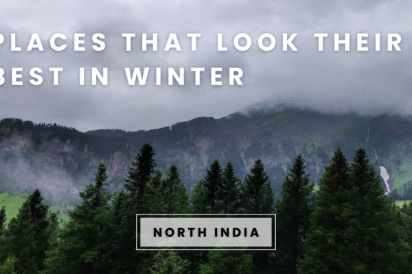 Msid 126178179imgsize 1240160.cms .png