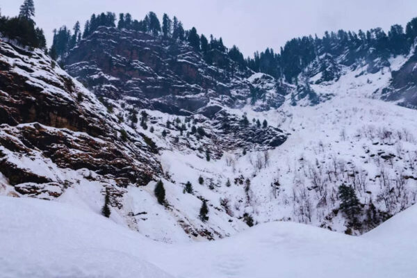 Msid 126248846imgsize 144622.cms .jpeg