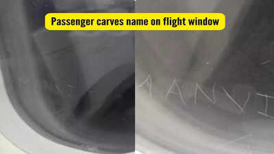 Passenger carves name on indigo flight window 1.jpg