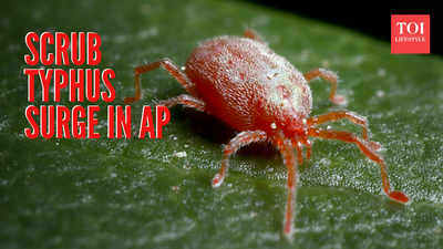 Representational image canva.jpg