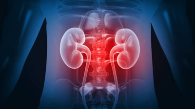 Silent kidney crisis 800 million people affected worldwide why women over 40 must act now.jpg