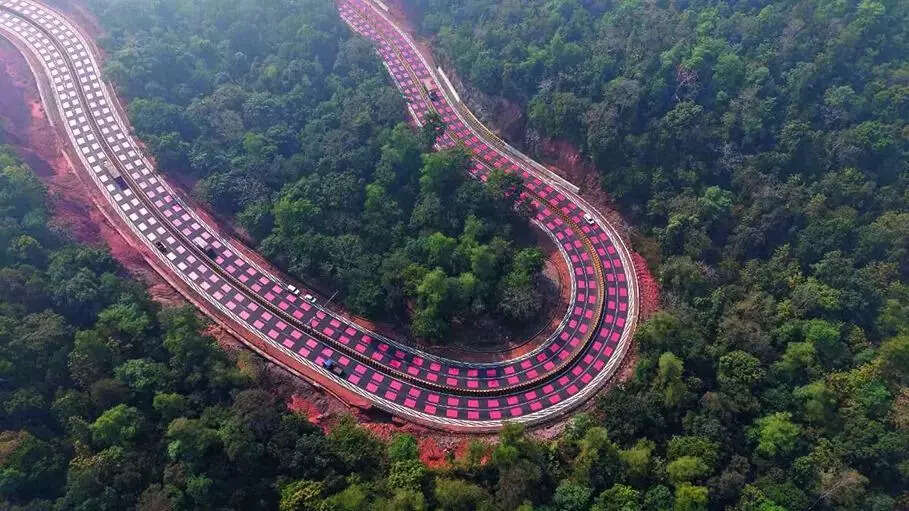 The red marked stretch is meant to slow vehicles gradually well before they reach the points where animals are most likely to emerge.jpg