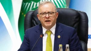 Untitled design 72.jpg