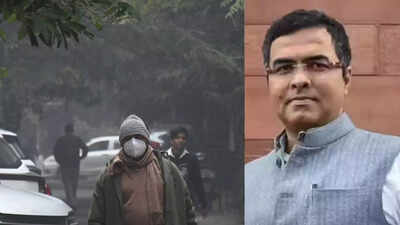 Verma said the current government is taking firm steps to tackle pollution unlike the previous regime which he accused of ignoring the problem until it reached crisis levels.jpg