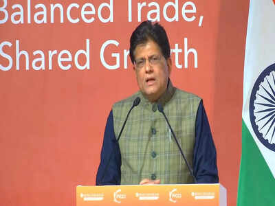 We need to bring more diversity in our trade basket says goyal on india russia trade ties.jpg