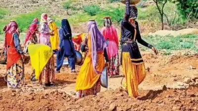 1767405713 representative image.jpg