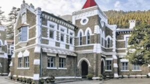 1767999042 untitled design 78.jpg