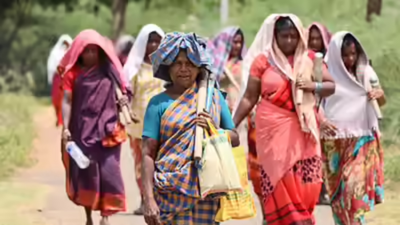 1768068400 unnamed file.jpg