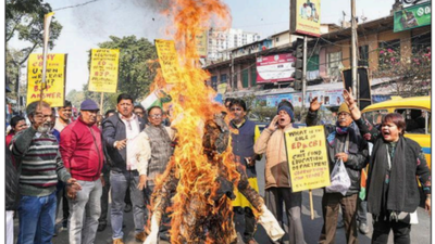 1768088014 untitled design 23.jpg