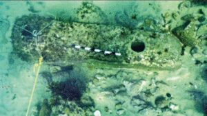 1768091200 untitled design 32.jpg