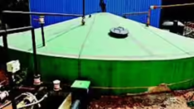 1768134923 unnamed file.jpg