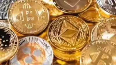 1768182101 untitled design 38.jpg