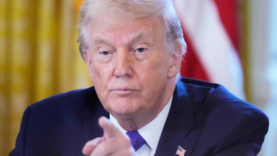 1768183318 untitled design 53.jpg