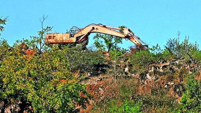 1769034494 representative image.jpg