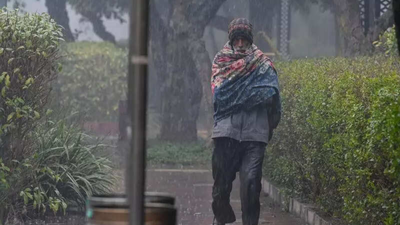 Delhi39s wettest jan in 4 years feb to start with rain.jpg