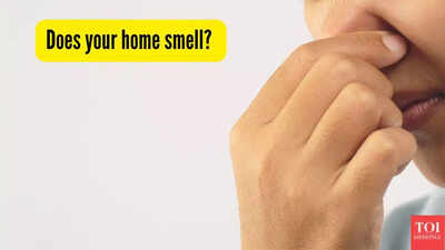 Does your home smell.jpg
