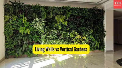 Living walls vs vertical gardens.jpg