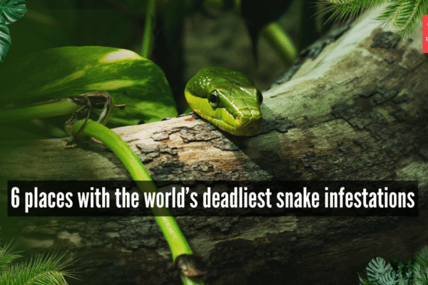 Msid 126332837imgsize 1955073.cms .png