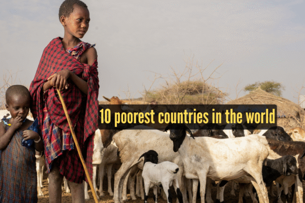 Msid 126482799imgsize 1192942.cms .png