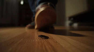 Squashing a cockroach in your home can be dangerous know the reason.jpg