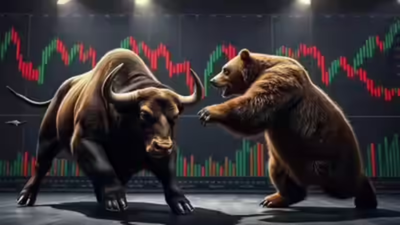 1770982924 unnamed file.jpg