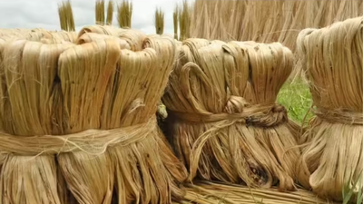 1771946649 unnamed file.jpg