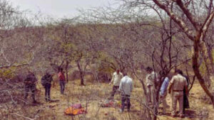 1772160669 unnamed file.jpg