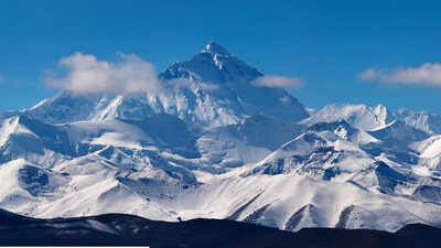 Everest wasnt always a mountain these 200 million year old marine fossils prove the himalaya was once underwater.jpg