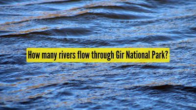 How many rivers flow through gir national park.jpg