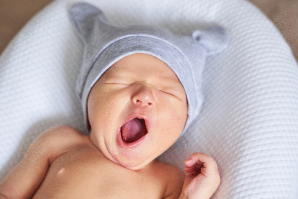 Msid 128390322imgsize 1004224.cms .png