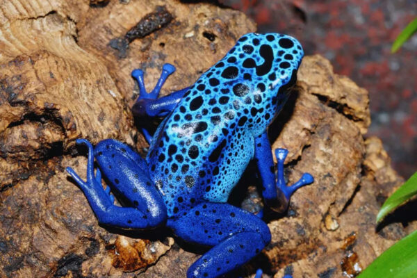 Msid 128433348imgsize 193738.cms .jpeg