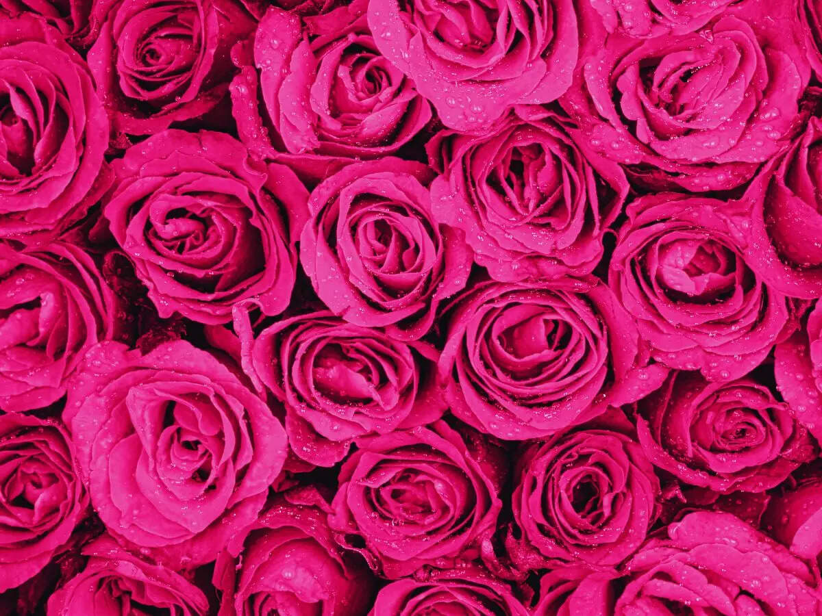 Msid 128476345imgsize 158812.cms .jpeg