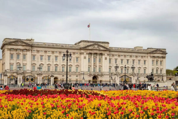 Msid 128785886imgsize 133474.cms .jpeg