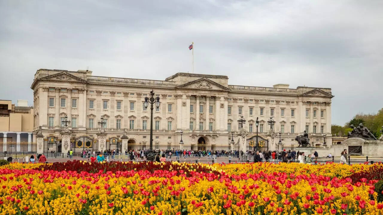 Msid 128785886imgsize 133474.cms .jpeg