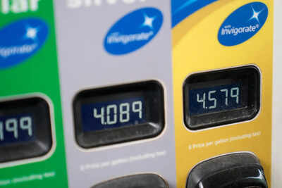 1772596971 representative image.jpg