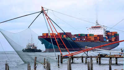 1772849368 untitled design 65.jpg