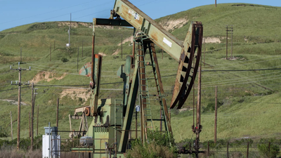 1773130048 representative image.jpg