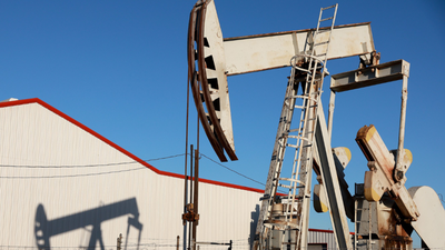 1773360785 unnamed file.jpg