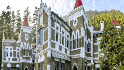 1773438791 untitled design 5.jpg