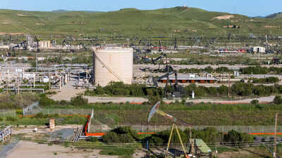 1773722929 representative image.jpg