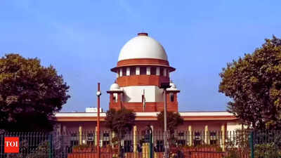 1773824654 unnamed file.jpg