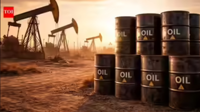 1773915044 representative image.jpg