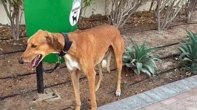 1774704249 article 26.jpg