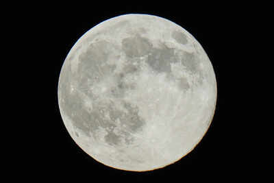 1774859499 representative image.jpg