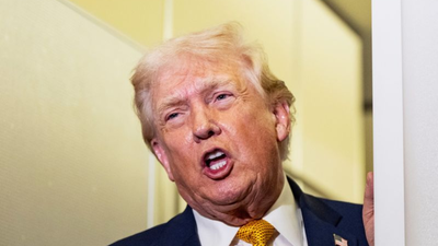 1774878823 untitled design 4.jpg