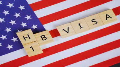 As h 1b visa registration dip 30 50 here are the companies that are emerging as favourites in the new system.jpg
